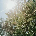 Sunset Waves Boutique דירה טרוגיר