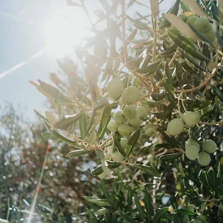 Sunset Waves Boutique Apartman Trogir